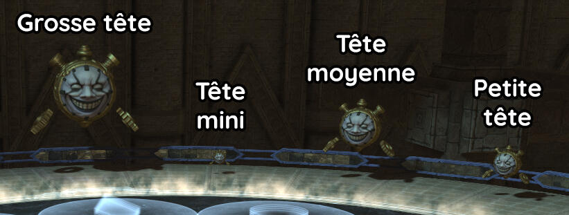 Différentes tailles de têtes